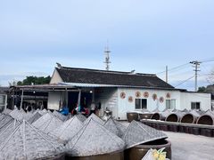 -苏州市吴中区光福窑上花果蜜饯厂