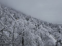 -峨眉山风景名胜区