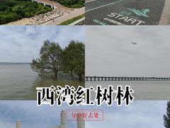 -宝安西湾红树林湿地公园