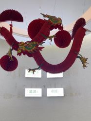 -欧扬医疗美容