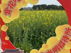 -光明小镇欢乐田园