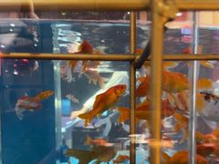 -辣得叫湘菜(四明店)
