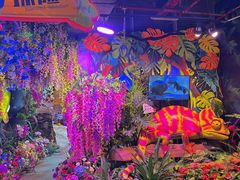 -正佳雨林生态植物园