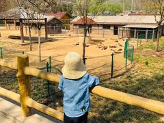 -石家庄市动物园