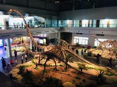 -自贡恐龙博物馆