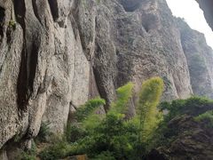 -雁荡山三折瀑景区