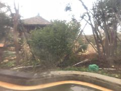 -天屿湖