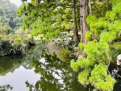 -杭州植物园