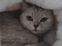 -联合动物医院(光谷诊疗中心)