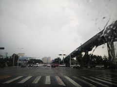 -青岛海景花园大酒店·白果树餐厅青岛菜