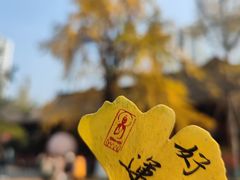-古大圣慈寺