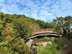 -云溪植物园