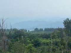 -邛海景风火盆烧烤(大石板古村二分店)