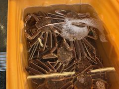 -城崎温泉 外七汤