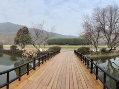 -八卦田遗址公园