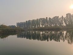 -白洋淀景区