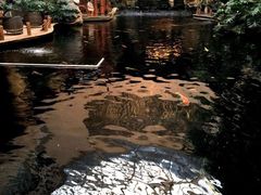 -顺景温泉