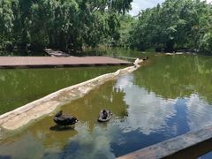 -海南热带野生动植物园