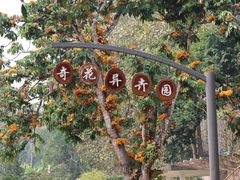 -中国科学院西双版纳热带植物园