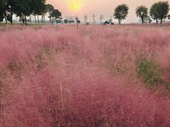 -汉长安城未央宫国家考古遗址公园