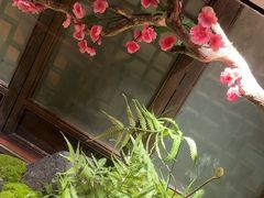 -一味大院•桐庐菜传承店(春江路店)