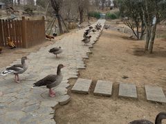 -东湖落雁景区