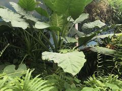 -长春公园(普阳街道)