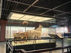 -淮安市博物馆