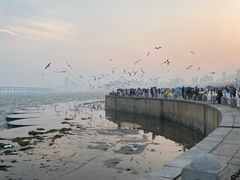 -星海广场