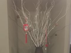 -瑞尔齿科(时代诊所)