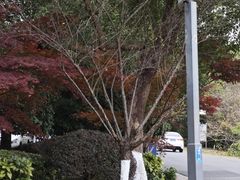 -敬亭山风景名胜区