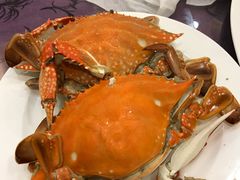 -山东八大碗山东老字号