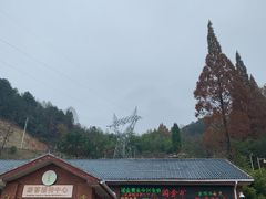 -遂昌金矿国家矿山公园