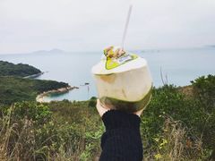 -南丫岛