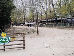 -上美四季动物农场