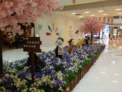 -凯德广场(西城店)