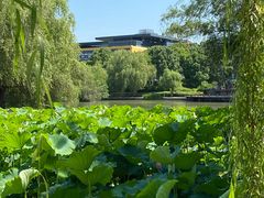 -金桥现代产业园区-停车场