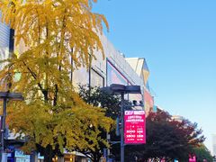 -黄兴南路步行商业街