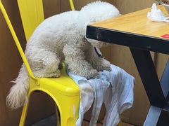 -嘎嘎鸭下巴·爆辣干锅(明教寺店)