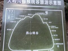 -大岭沟猕猴桃谷风景区