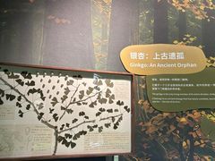-厦门诚毅自然探索馆