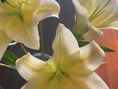 -BOBLOOM花店(宝龙旭辉广场店)