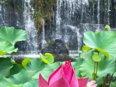 -广州莲花山旅游区