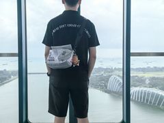 -新加坡摩天观景轮