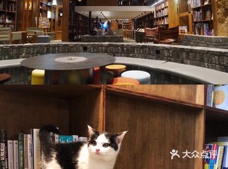 桐庐｜在侘寂山野里尽情放空的美好人间
