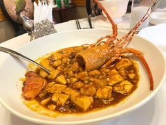 麻婆豆腐煮龙虾-樱苑(四川北路店)