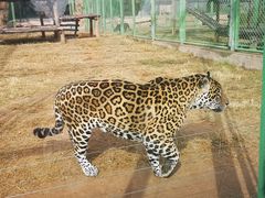 -鄂尔多斯野生动物园