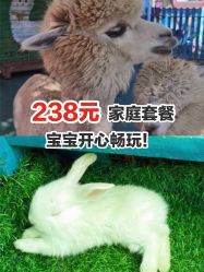 -萌宠亲子动物乐园(槐房万达店)