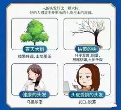 -丝域养发馆