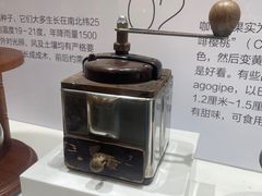 -MUSEO COFFEE咖啡博物馆